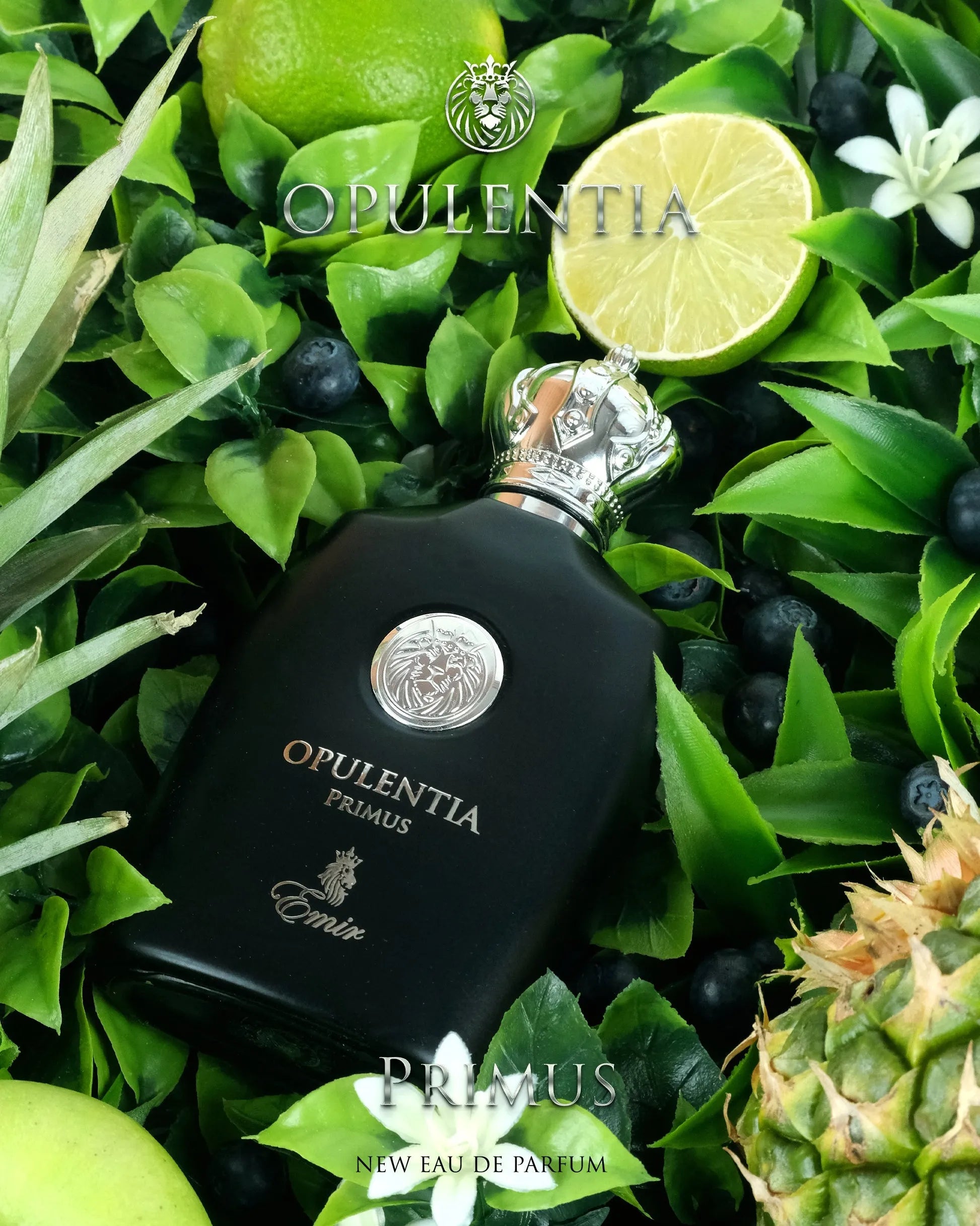 Opulentia Primus by Emir – bold masculine perfume with pineapple, black currant, birch, ambergris, and vanilla notes