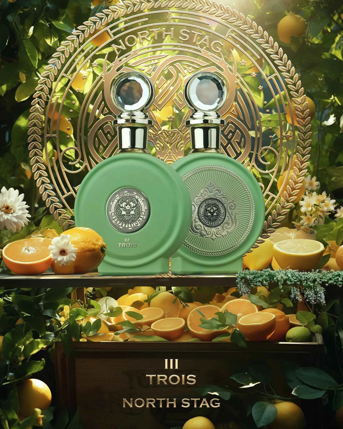 North Stag Trois III 100ml – styled lifestyle image 2