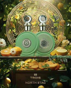 North Stag Trois III Expressions – Citrus Spice Tea Perfume 100ML