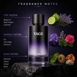 Vage EDP