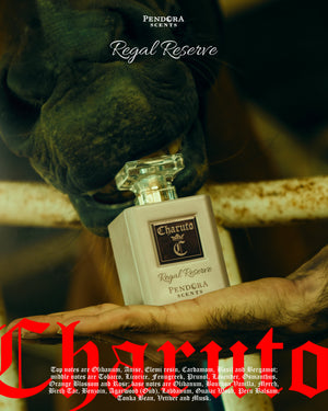 Charuto by Paris Corner 100ml perfume