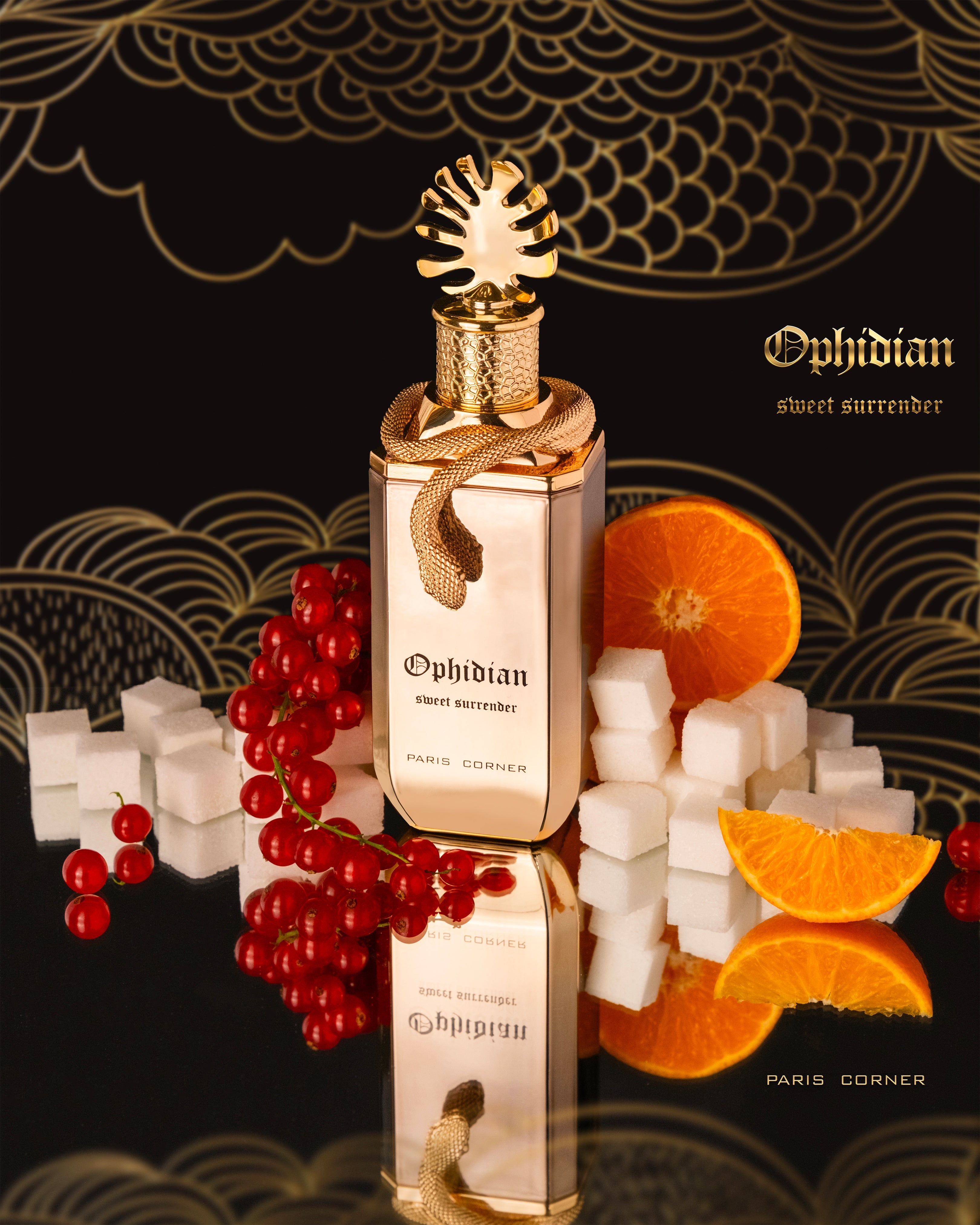 Ophidian Sweet Surrender by Paris Corner 100ml perfume